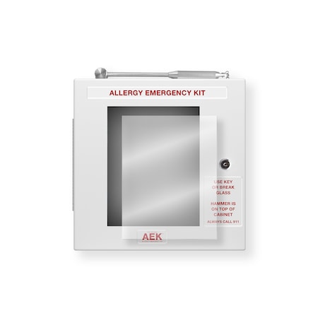 Replacement Window For Allergy Emergency Kit Lunchroom  Corridor Cabinet